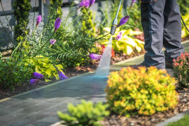 Winterizing Services in Eidson Road, TX