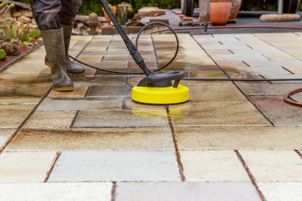 Best Solar Panel Cleaning  in Eidson Road, TX