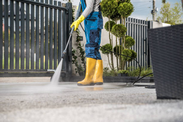 Best Roof Washing  in Eidson Road, TX